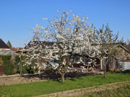fruehling_2019-04-19